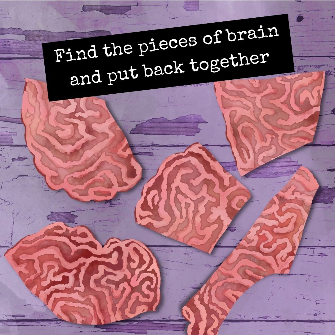 Brain-shaped puzzle pieces on a purple wooden surface with text.